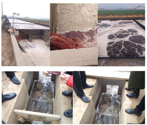 3000L/h 牛 鶏 鶏 ハラル 肉加工 移動式 屠殺場用廃水処理装置