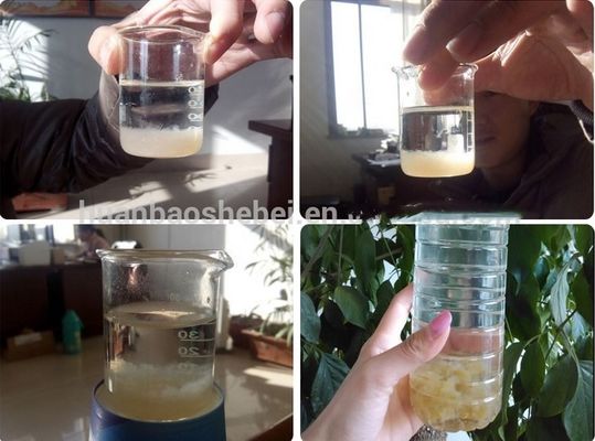 廃棄物処理装置のための固体液体分離機